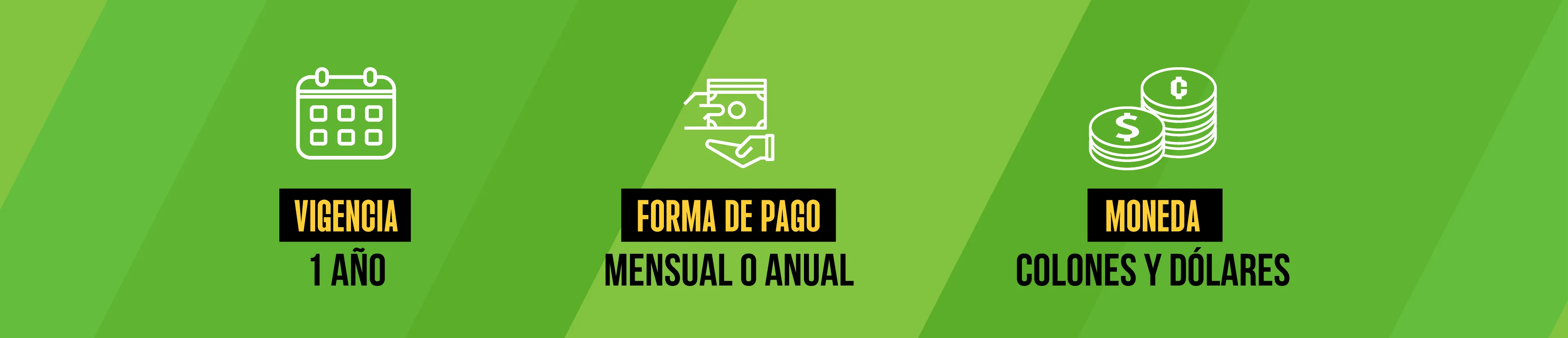 Vida Protegida 07 4 11Zon