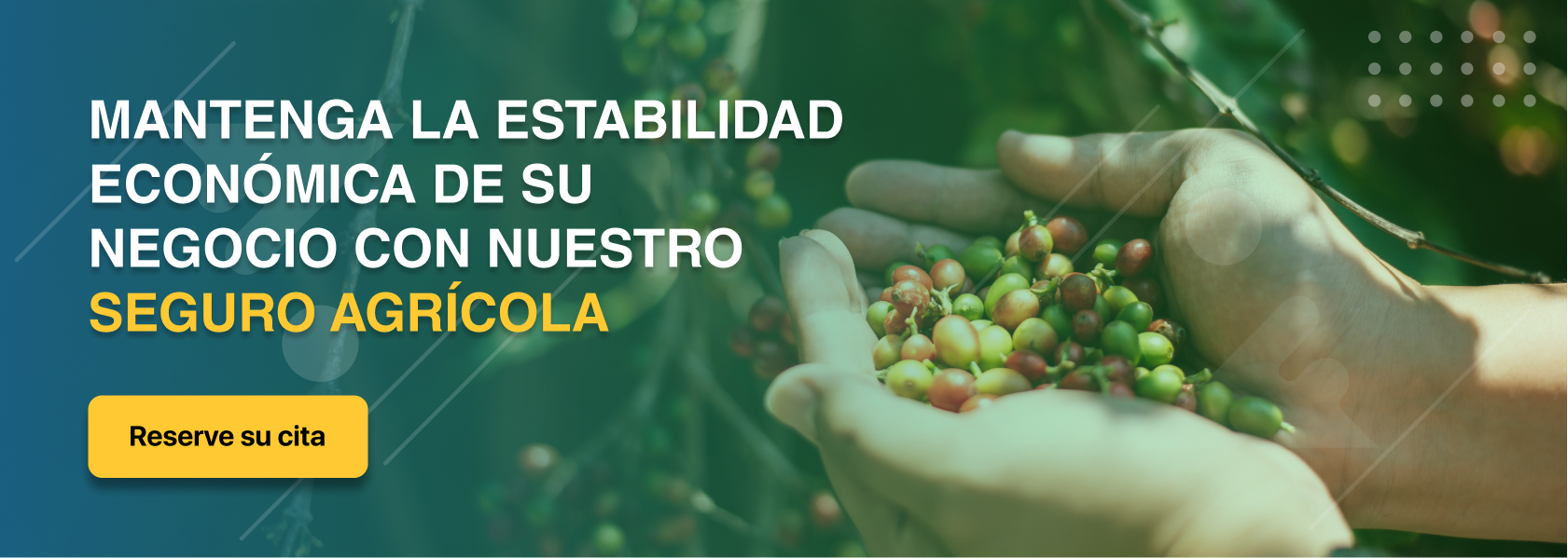 Imagen: Mantenga la estabilidad ecónomica de su negocio con nuestro seguro agrícola, reserve su cita