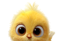 Animación de bienvenida